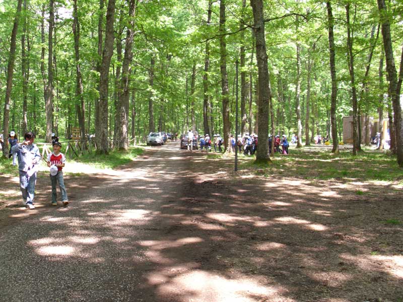 Festa del Parco. Conclusione del Progetto di Educazione Ambientale 