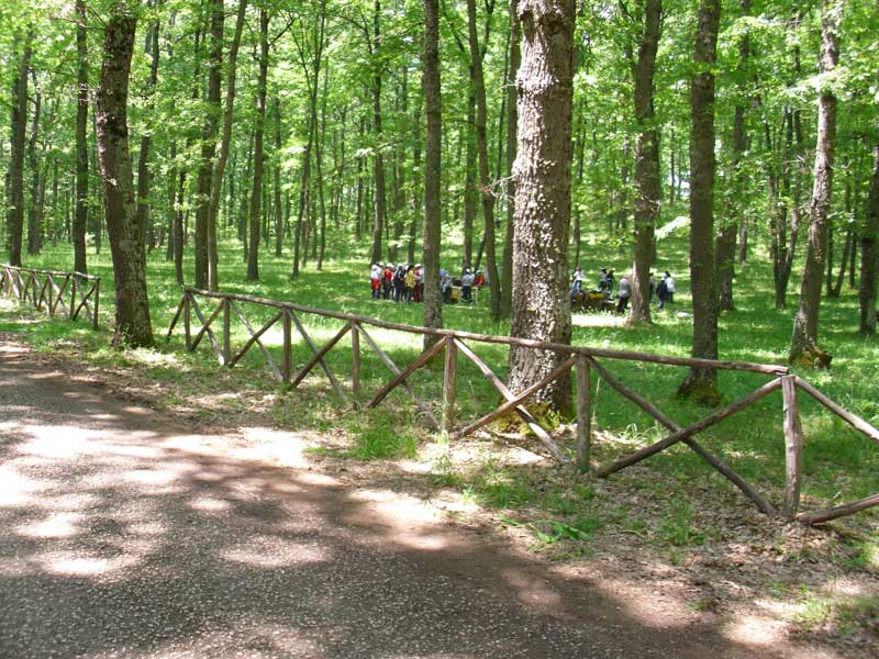 Festa del Parco. Conclusione del Progetto di Educazione Ambientale 